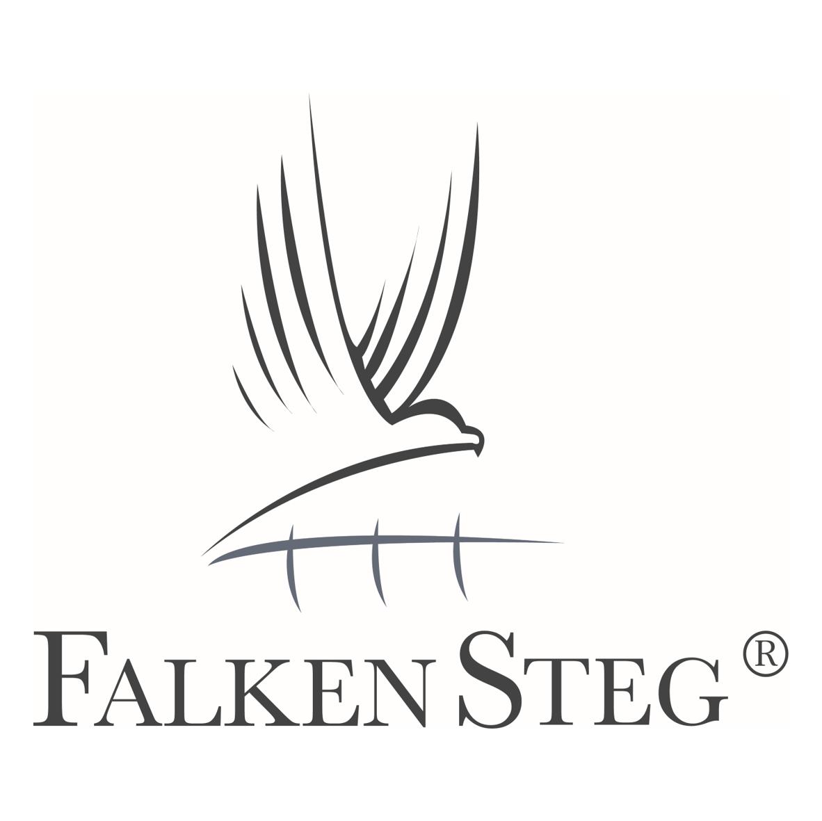Falkensteg GmbH Logo