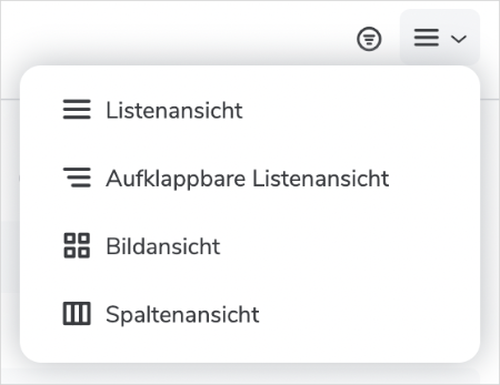 Screenshot Anzeige der Dokumente im Datenraum