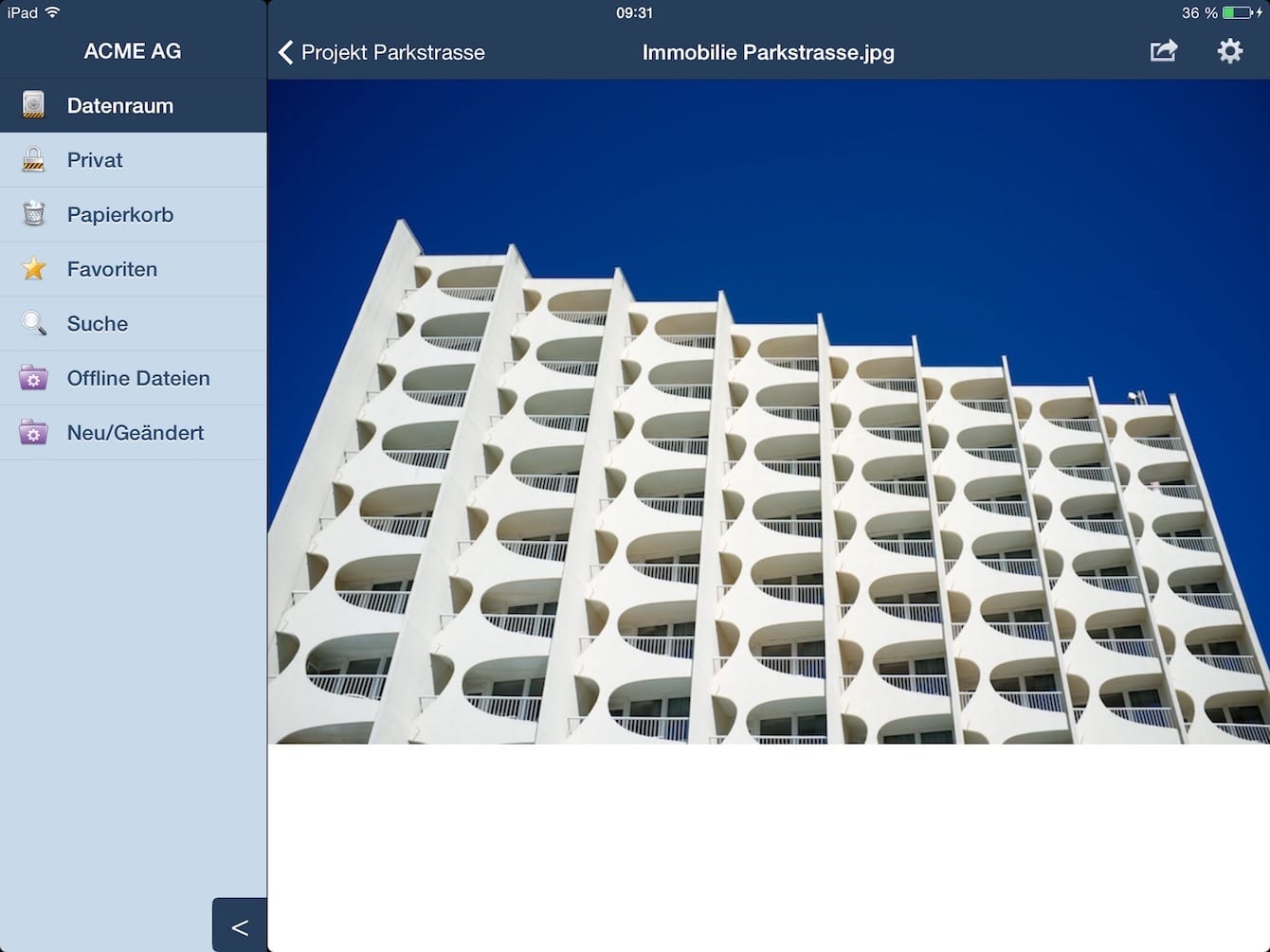 netfiles iPad App