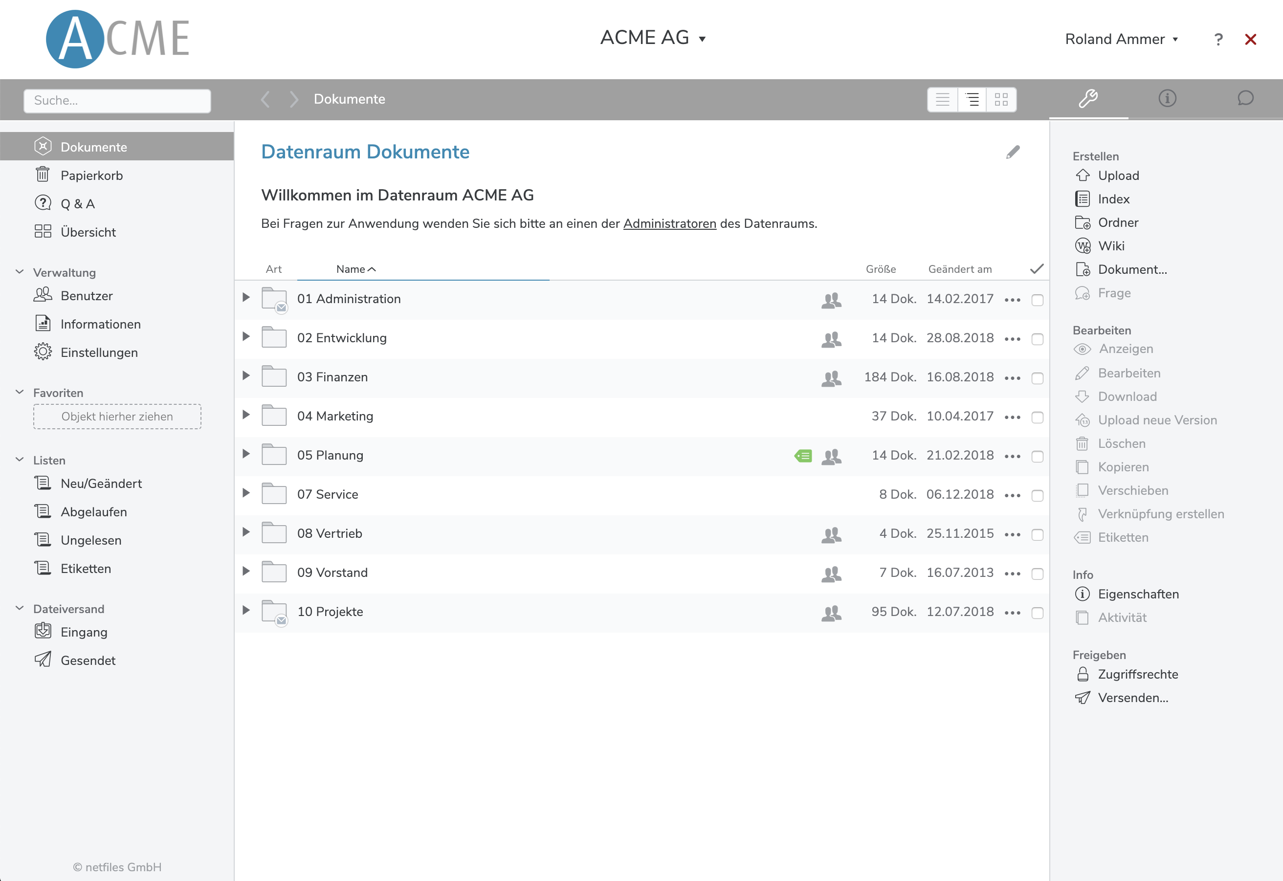 Screenshot des netfiles Datenraums mit individuellem Erscheinungsbild