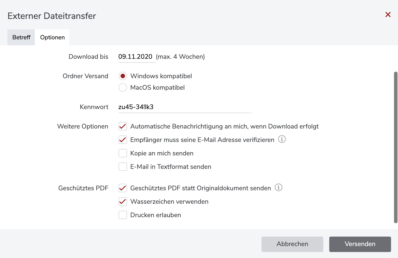 Screenshot netfiles Externer Dateitransfer Funktion
