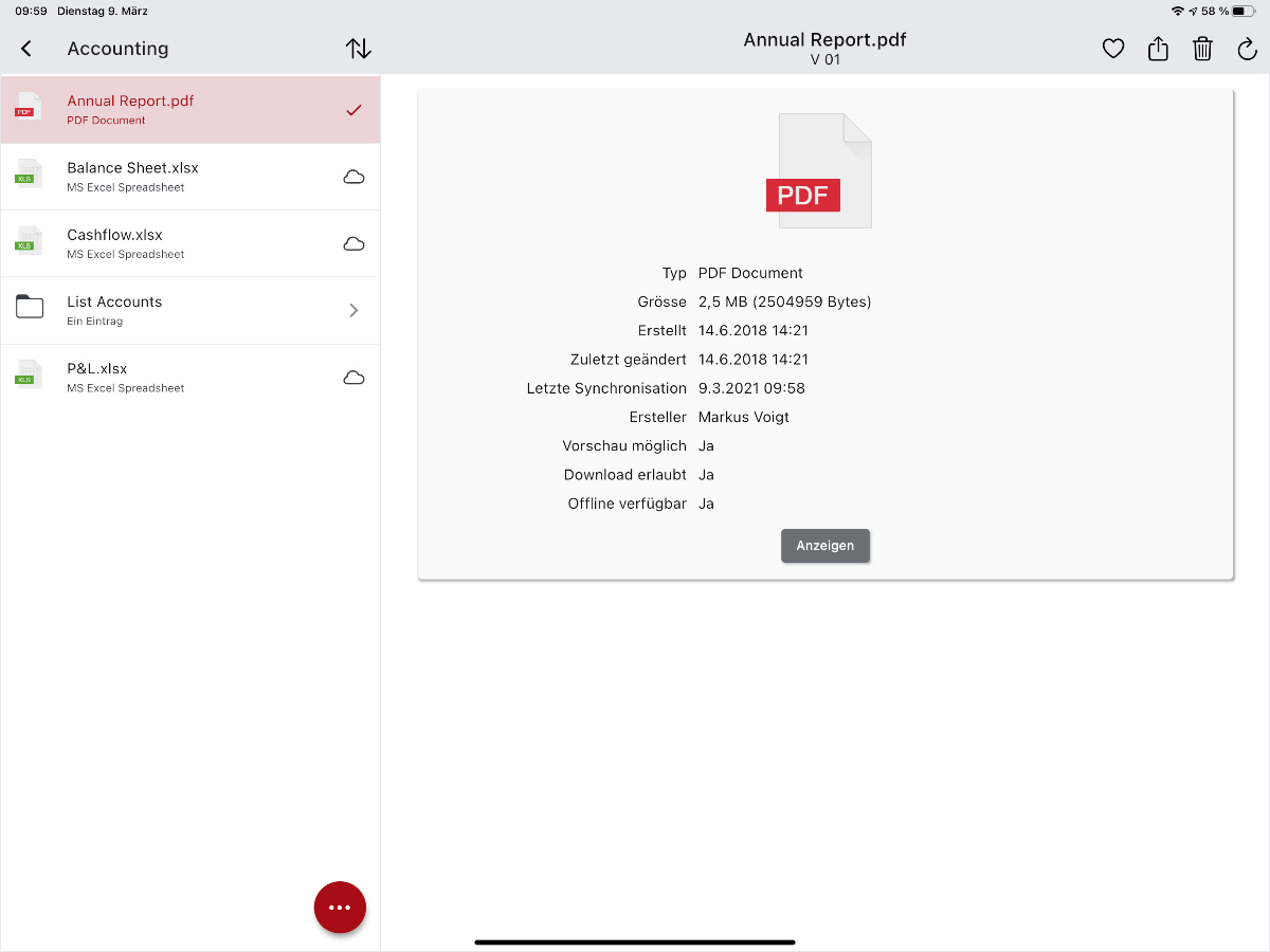 Screenshot netfiles mobile App auf iPad