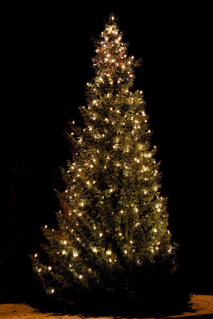 Tannenbaum