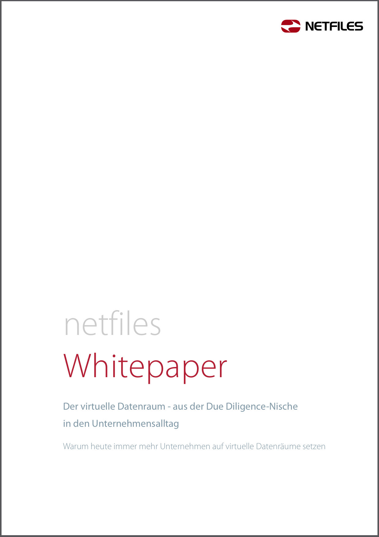 Deckblatt netfiles Whitepaper